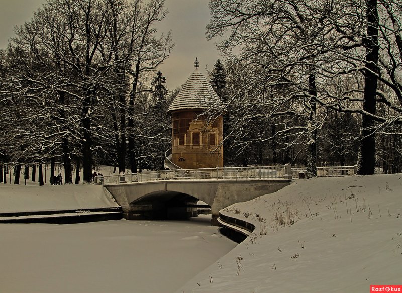 Павловский парк зима 2021