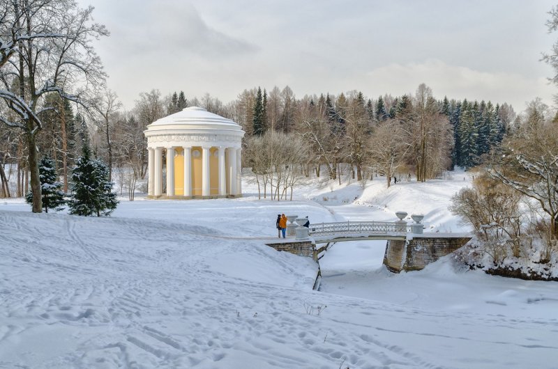 Павловск парк зима