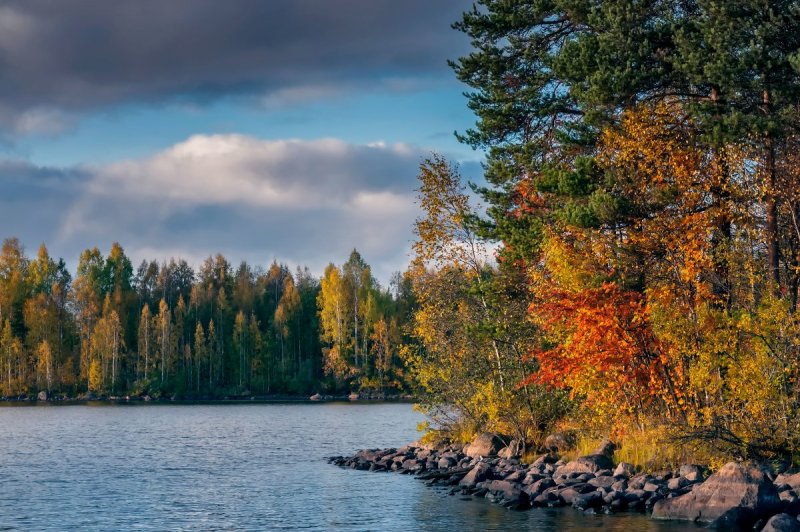 Карелия лес озеро осень