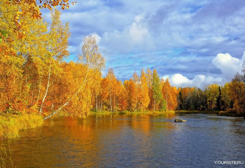 Золотая осень в Карелии