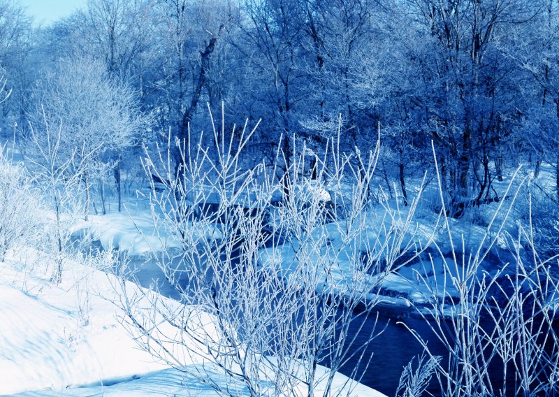 Зимний пейзаж в синих тонах