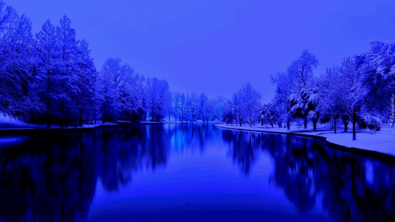 Зима в синих тонах