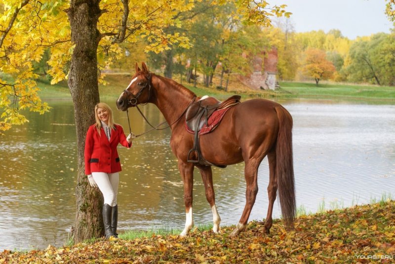 Фотосессия с лошадью осень