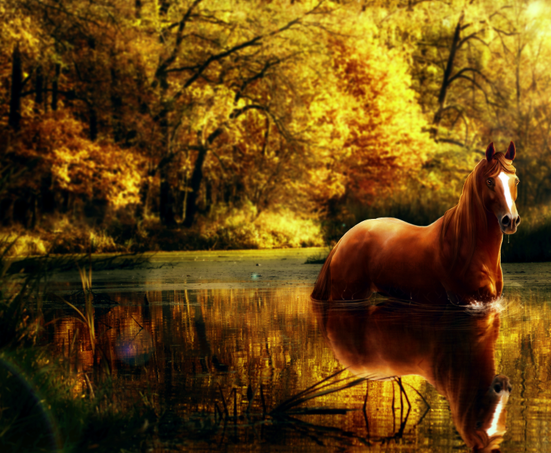 Лошадь в осеннем лесу