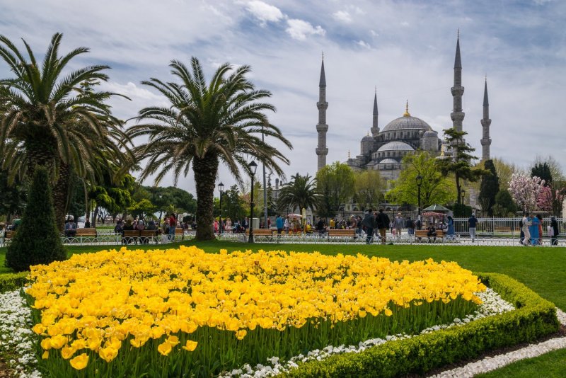 Стамбул цветы Турция 2020