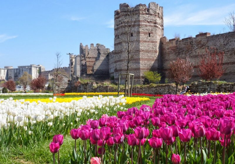 Фестиваль тюльпанов в Турции