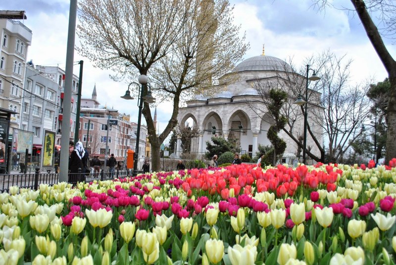 Фестиваль тюльпанов Стамбул Айя София