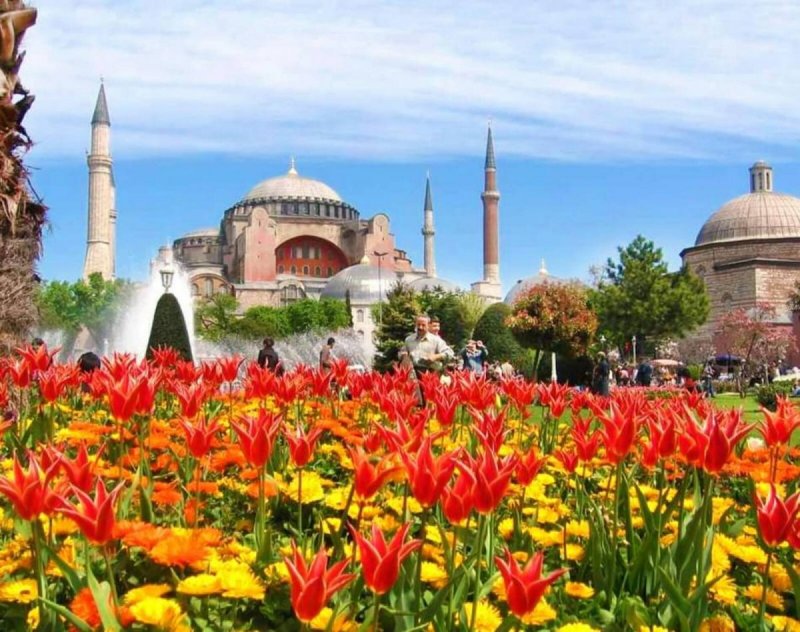 Тюльпанная мечеть