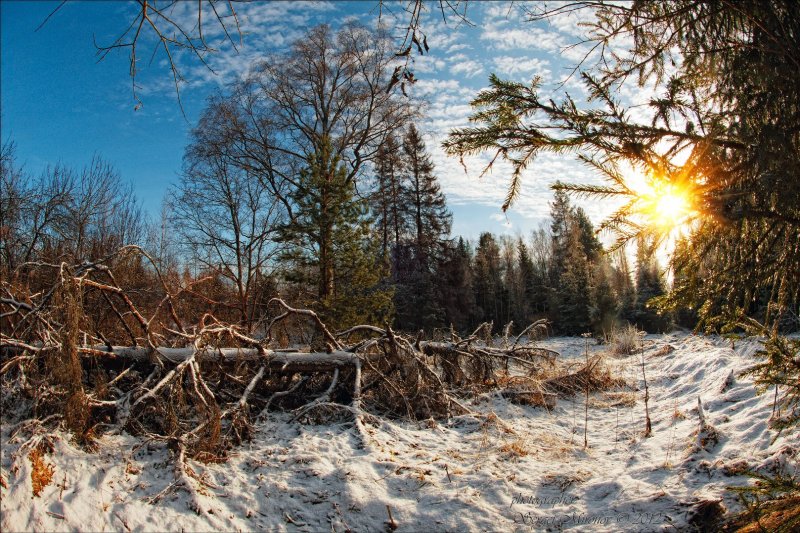 Конец зимы природа