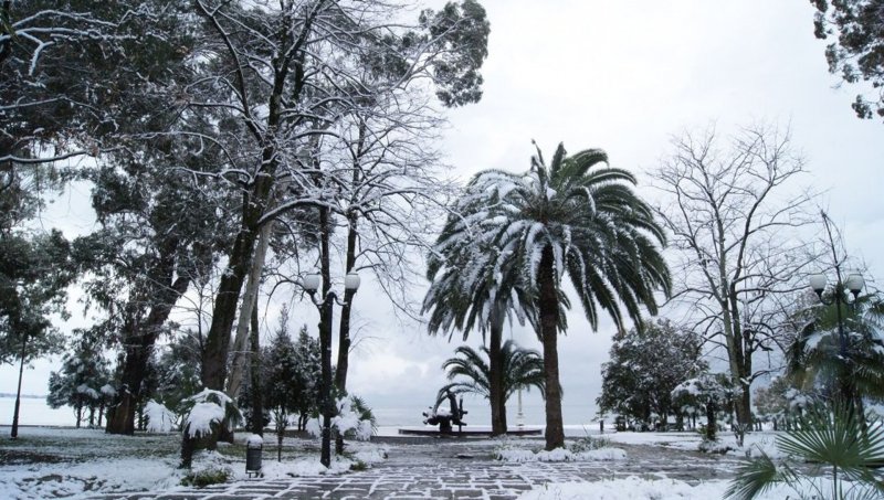 Абхазия Сухум зимой