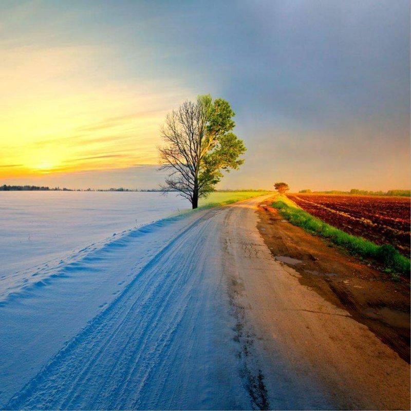 Летняя и зимняя дорога