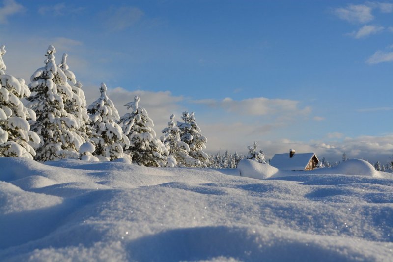 Одинокий домик в зимнем лесу