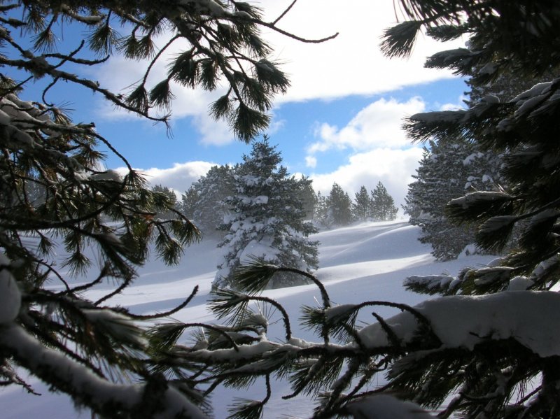 Семинский перевал зимой