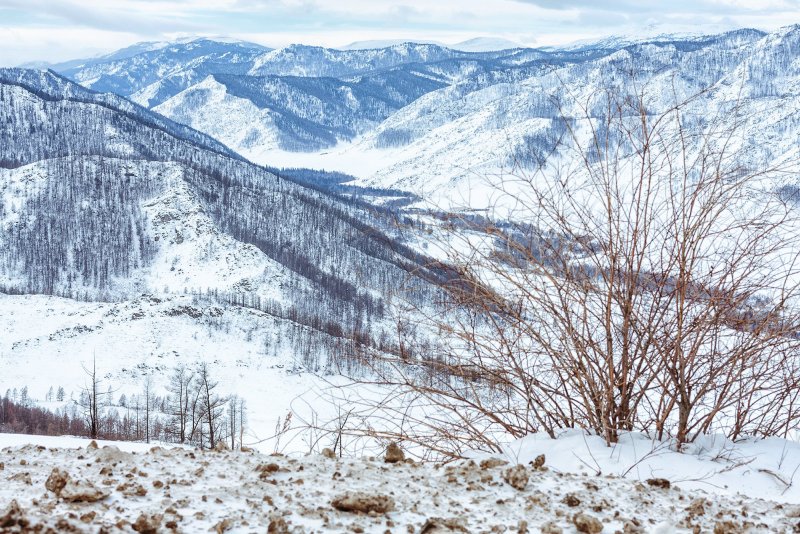 Перевал Чике Таман зимой