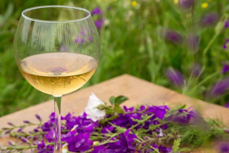 Вино на весенних полевых цветах