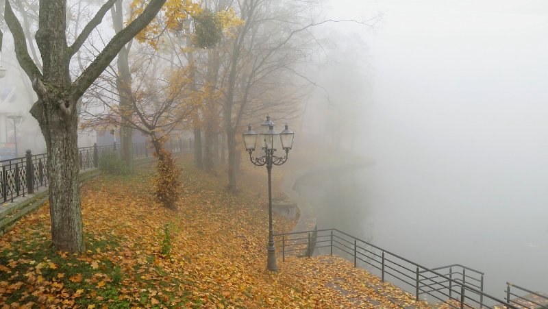 Парк в тумане в Павловске