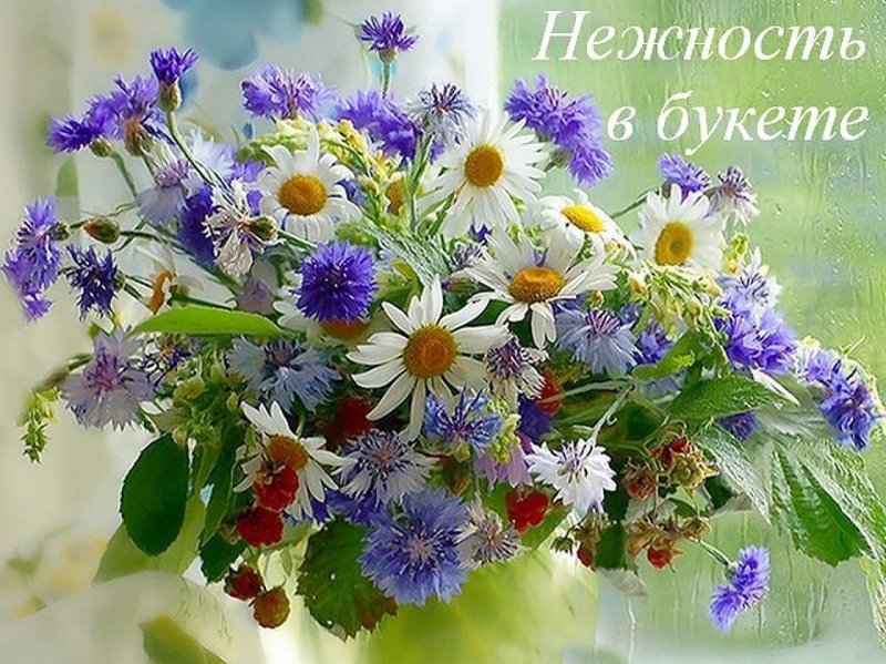 Благословенного дня православные пожелания лето