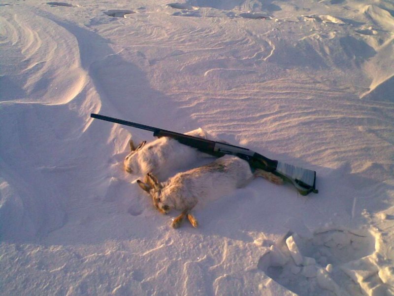 Охота с ружьем зима