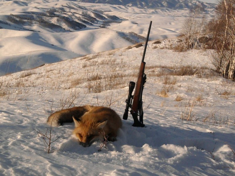 Охота зимой