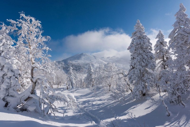 Южно Сахалинск природа зима