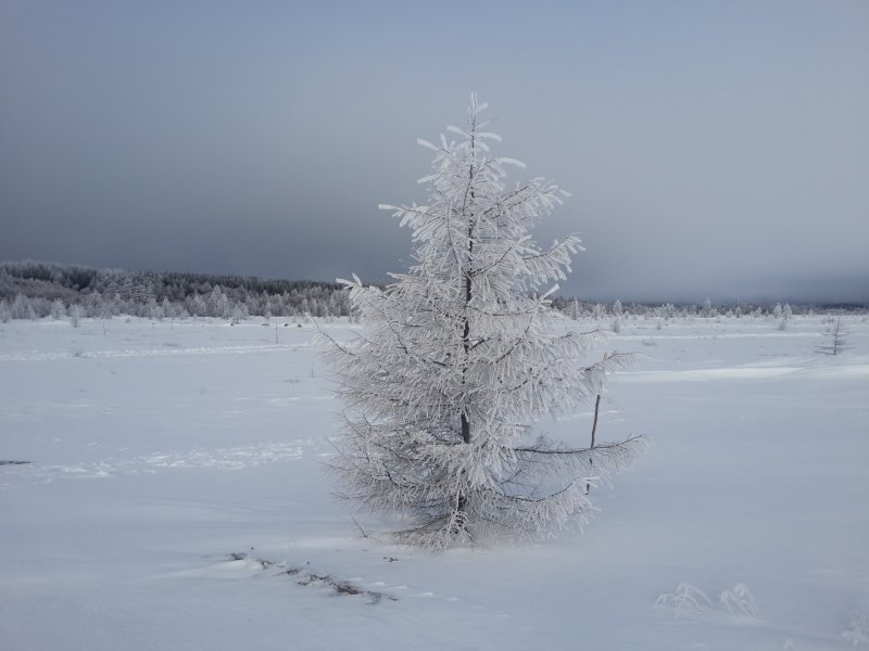 Остров Сахалин зима