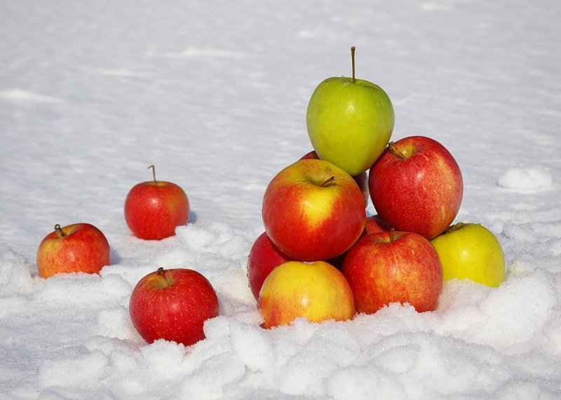 Яблоки на зиму