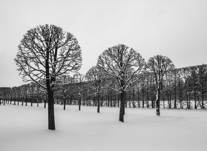 Парк Архангельское зимой
