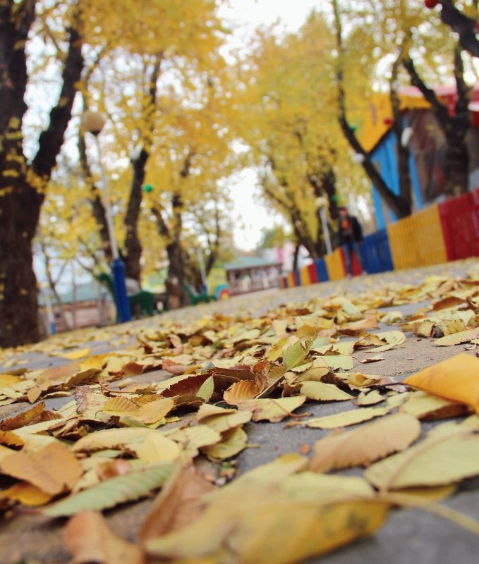 Осень в Таганроге