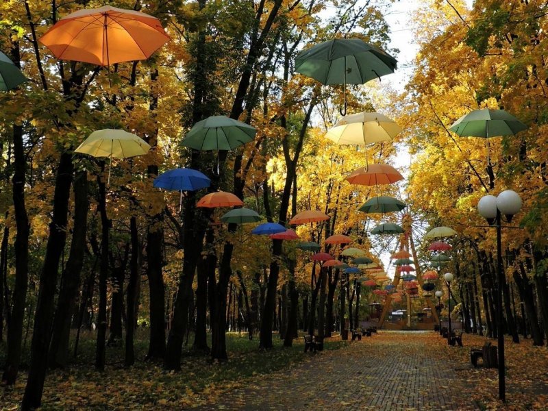 Парк Толстого Химки зонты