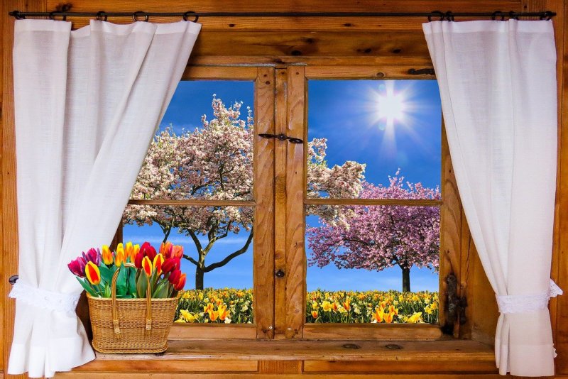 Весна за окном