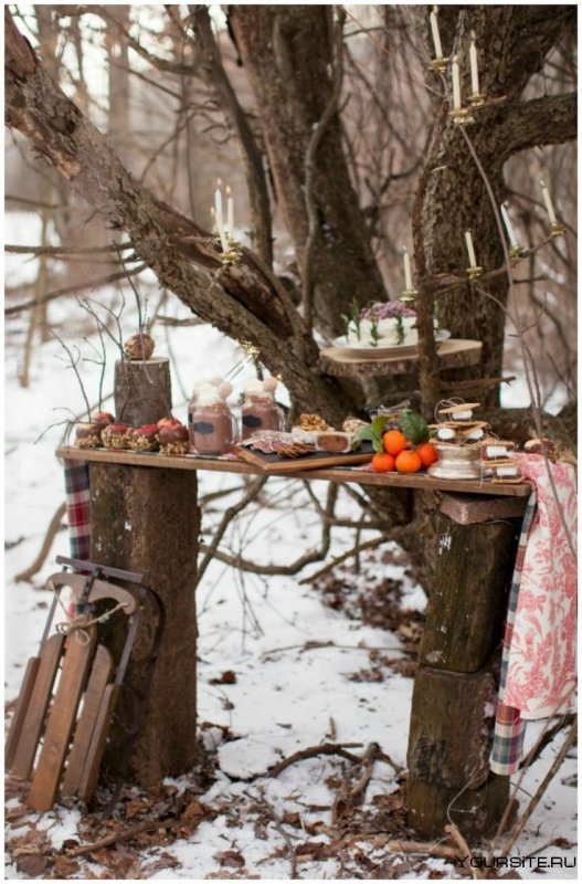 Пикник зимой в лесу