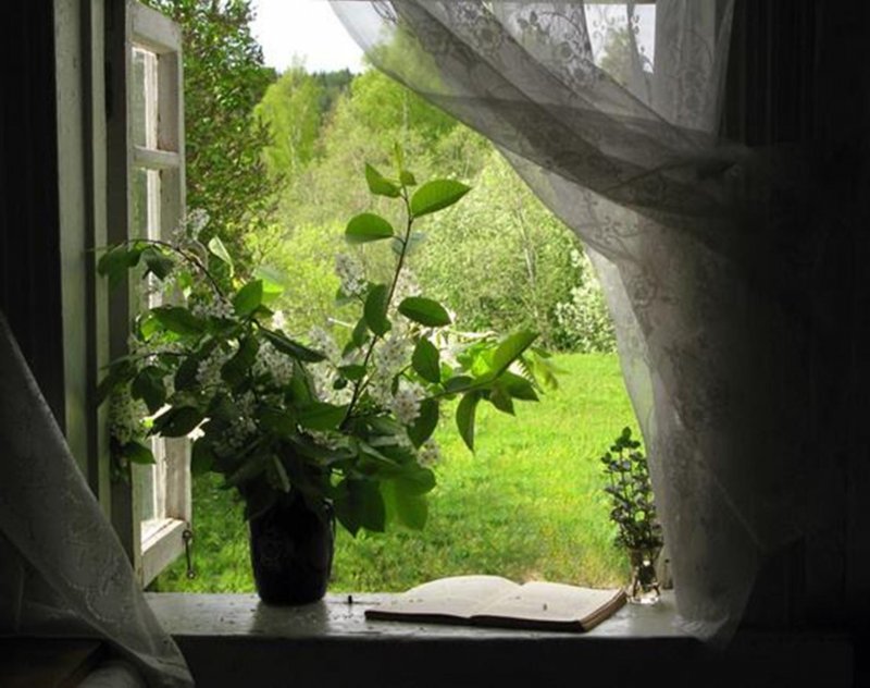 Весеннее окно