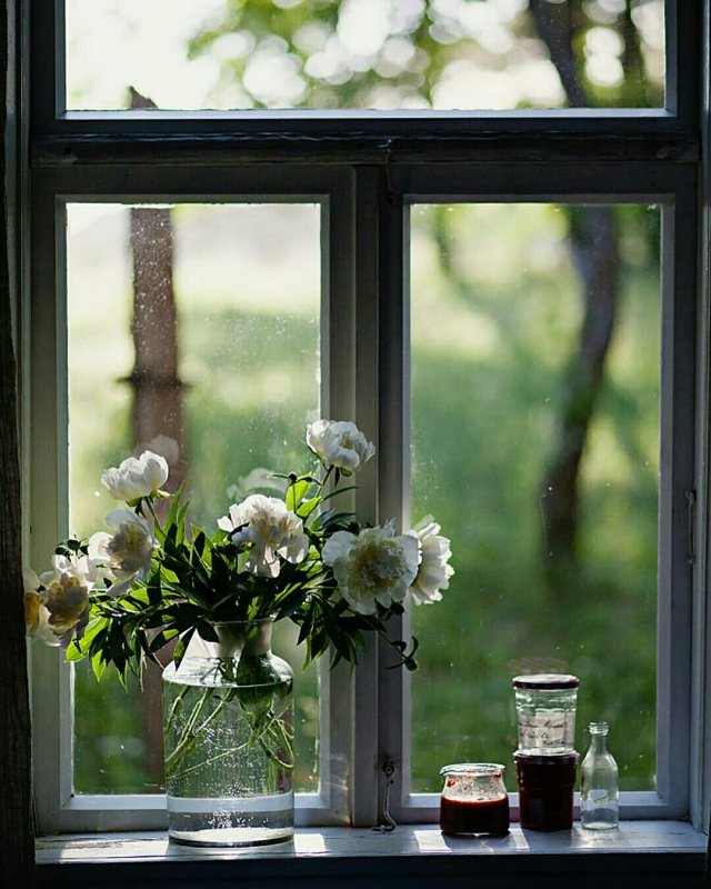 Весенний вид из окна