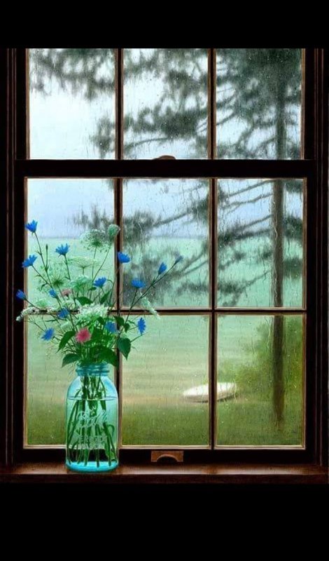 Цветы на деревенском окне