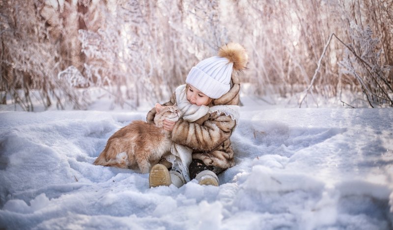 Животные зимой для детей