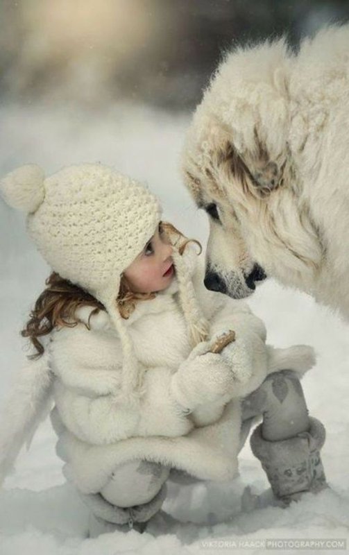 Дети и животные зима
