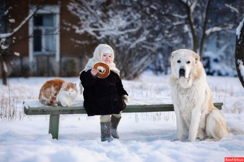 Мальчик с собакой зимой
