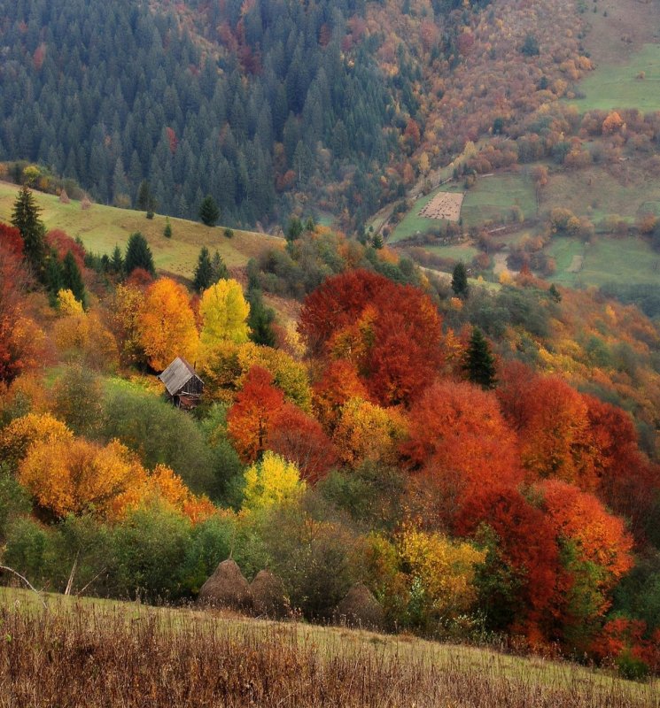 Карпаты Румыния осень