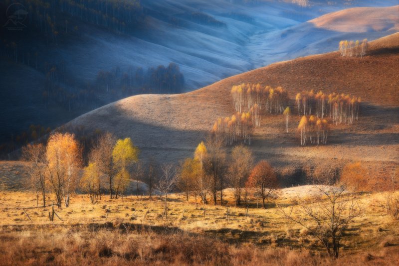 Карпаты Румыния осень