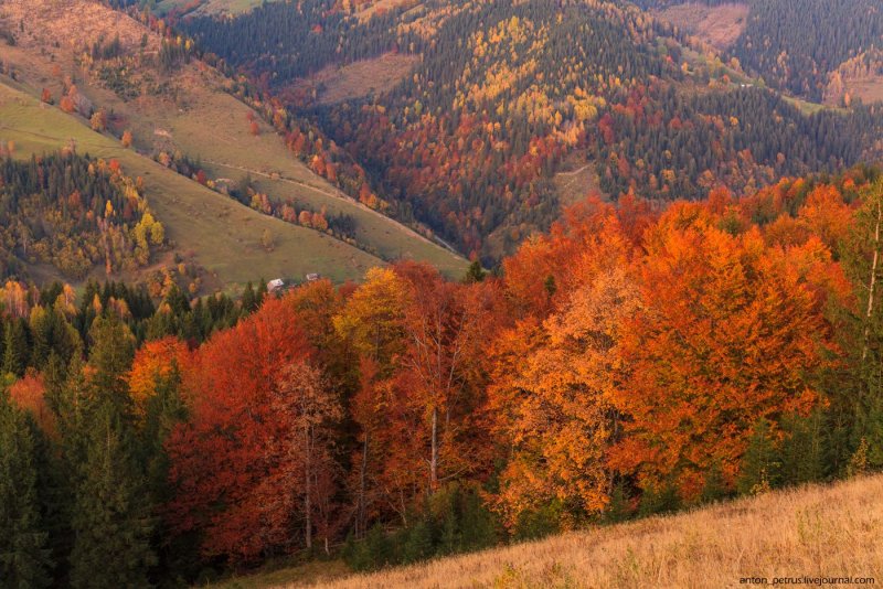 Карпаты Венгрия осень