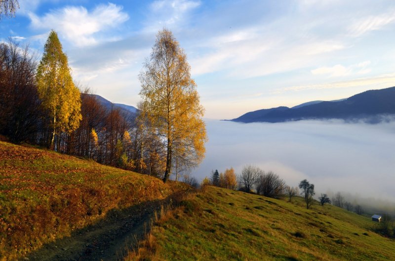 Осень в горах Украины