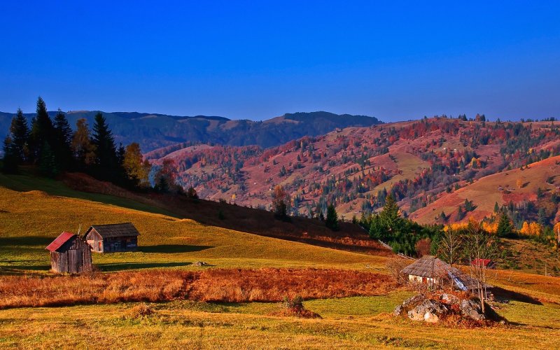 Осень в горах Карпаты