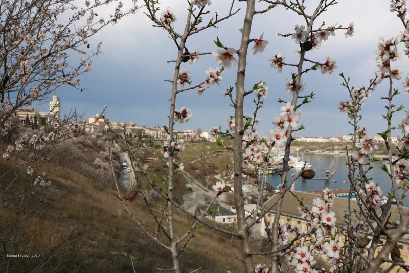Весна в Севастополе