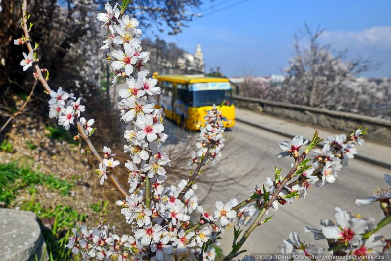 Севастополь набережная весной