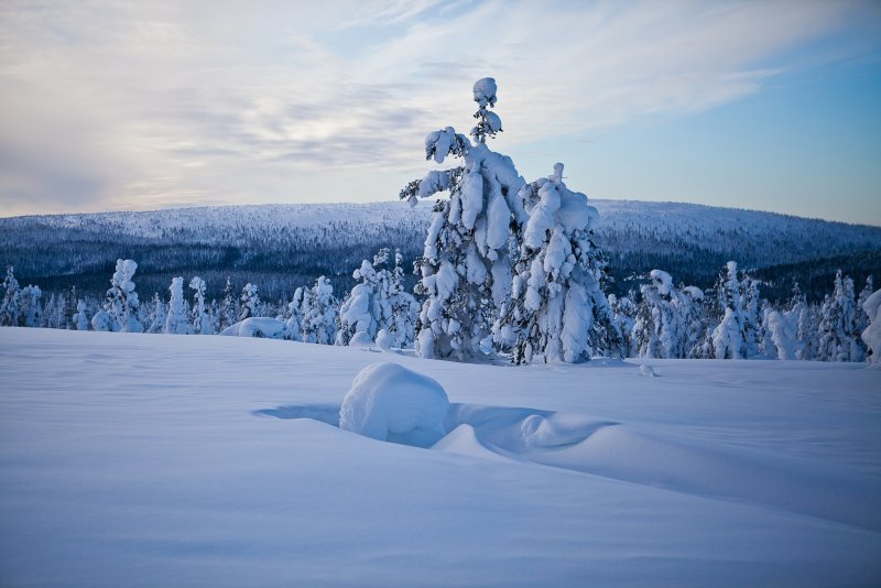 Лапландия Финляндия природа
