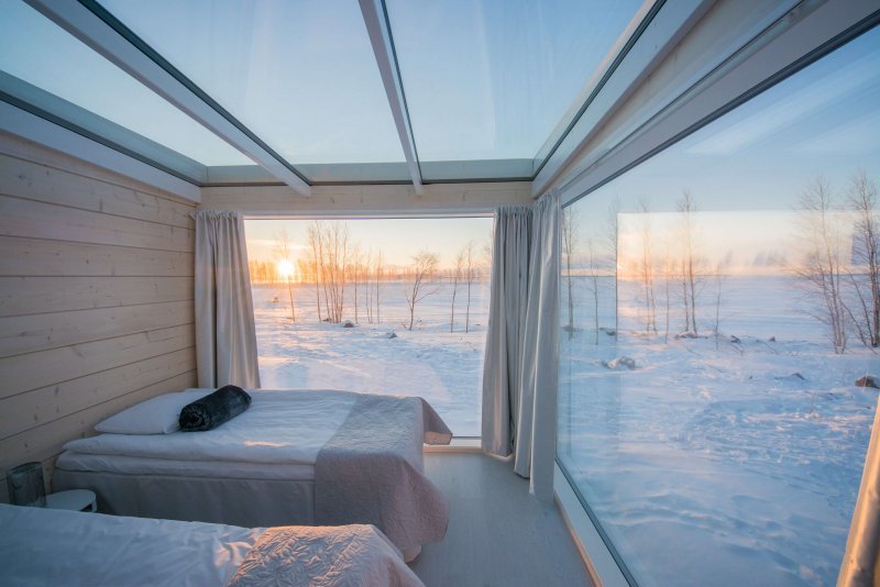 Панорамное окно с видом на лес снежный