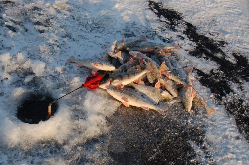 Лунка рыбалка зимой