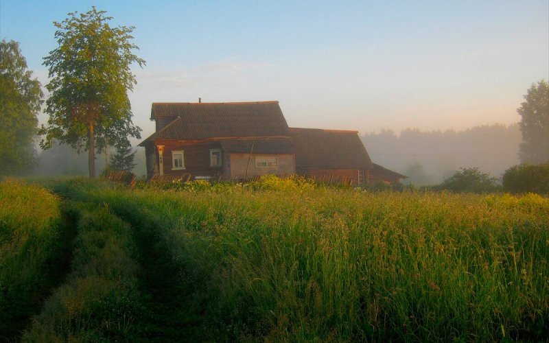 Деревня Мегра Вологодская пейзаж