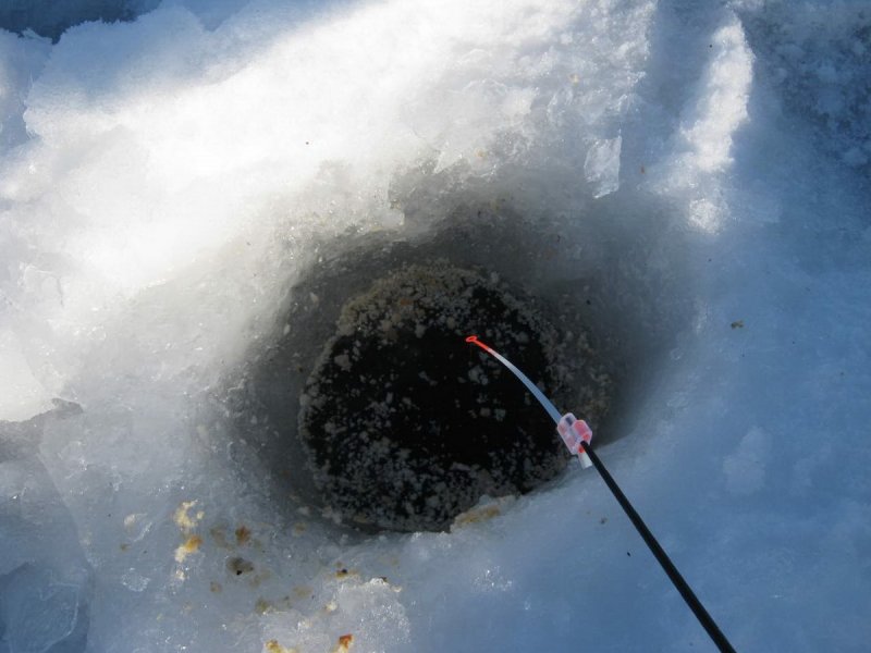 Прикормка в лунку зимняя рыбалка
