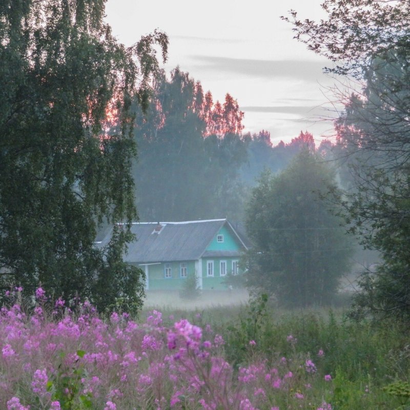 Рассвет в деревне летом